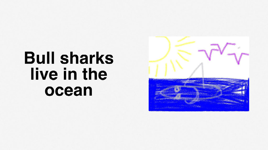 BULL SHARKS